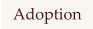 Adoption